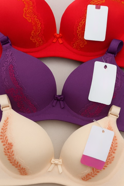 Silk Embroidered Padded Bra for Women β Luxury Lingerie with Soft Silk Fabric, Elegant Embroidery & Comfortable Everyday Support (Random Color)
