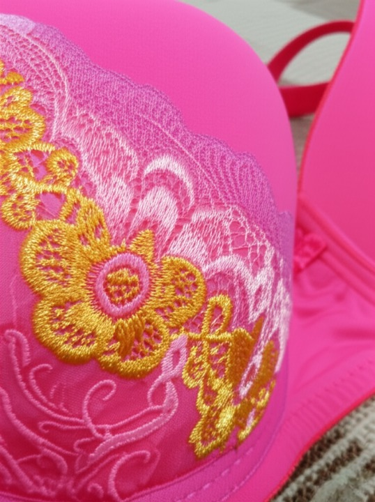 Silk Embroidered Padded Bra for Women – Luxury Lingerie with Soft Silk Fabric, Elegant Embroidery & Comfortable Everyday Support (Random Color)
